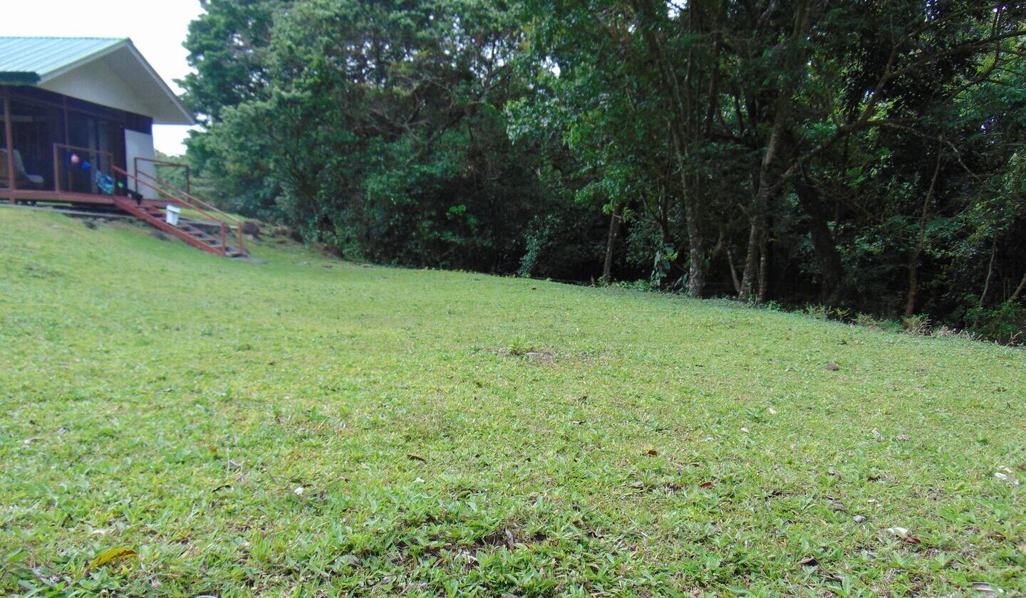 A grassy area with a building in the background.