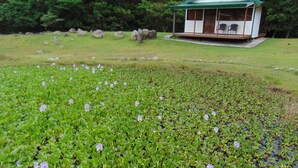 A small pavilion with a green roof and white walls, surrounded by a grassy area with water lilies and rocks. - Camping and RV parking area 7 (Guadalajara)