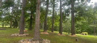 3-bedroom Pet Friendly home on 14 acres with trails and seasonal creeks.