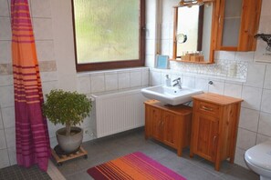 Shower, hair dryer