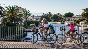 Une promenade en bord de mer, avec des vélos et des planches de surf, d’où l’on peut admirer un plan d’eau, des bâtiments et des palmiers en arrière-plan.