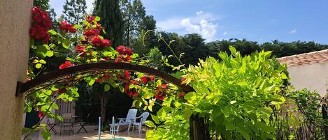 حمّام سباحة خارجي