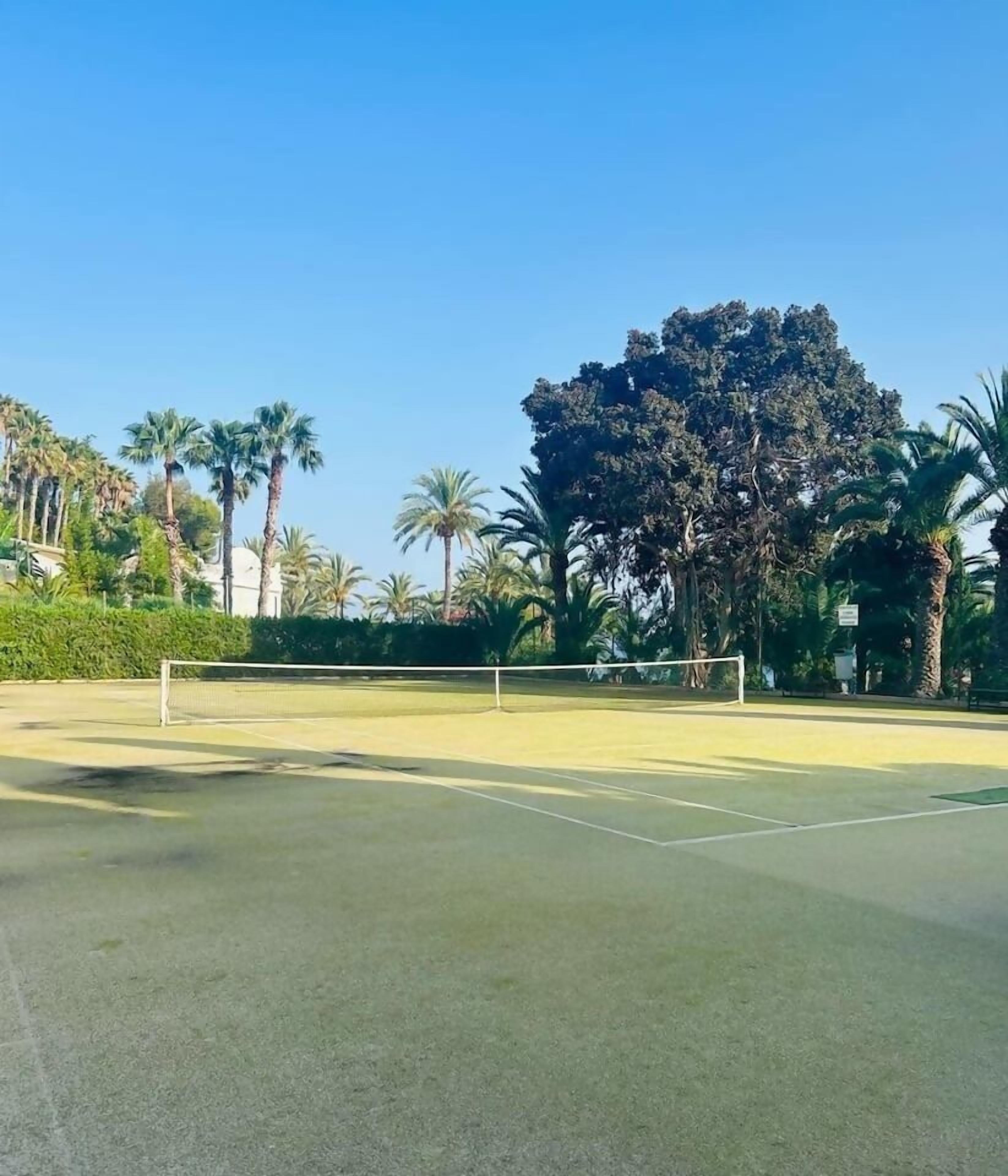 Un campo da tennis con una rete, circondato da palme e un grande albero sullo sfondo.