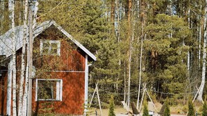 En rustik hytte med skråt tag, omgivet af tæt skov og høje træer.
