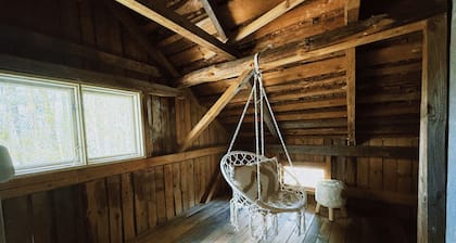 Romantic Forest Cottage near Lake • Sauna, Firepit & Cozy Scandinavian Design