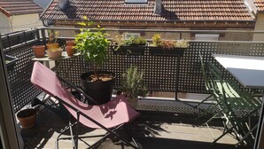 A balcony with a potted plant, a folding chair, and a table.