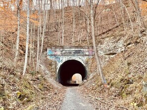 A tunnel entrance surrounded by trees and overgrown vegetation.