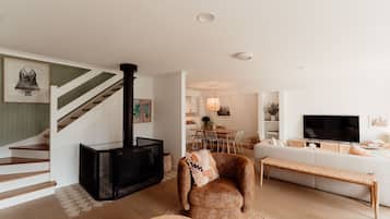 TV, fireplace, books