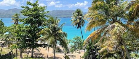 Plage à proximité