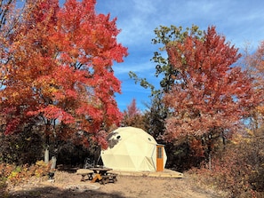 Exterior - Adorable, private GeoDesic Dome in Siren (Siren)