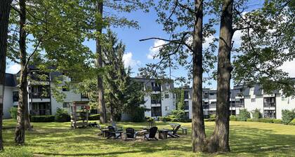 Cozy Studio Condo with Loft, Steps from Skiing, Hiking & More!