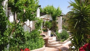 A sunlit outdoor patio area with a chair, a staircase, and various plants.