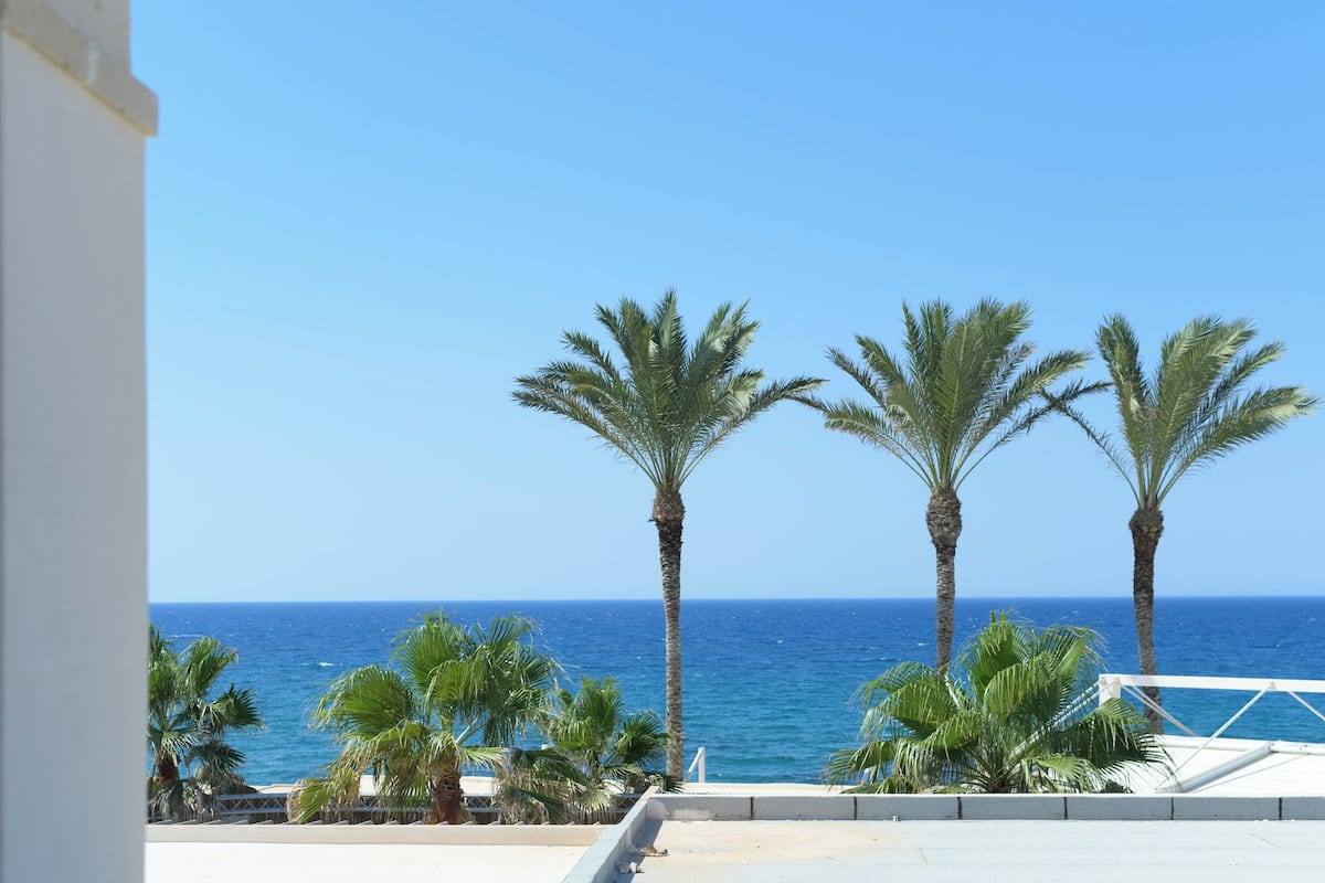 A balcony with a view of the sea and palm trees.