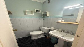Une petite salle de bain comprenant des toilettes, un lavabo et un miroir. On y trouve de petites étagères au-dessus du lavabo et une plante en pot accrochée au mur.