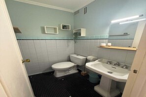 Shower, hair dryer, bidet, towels