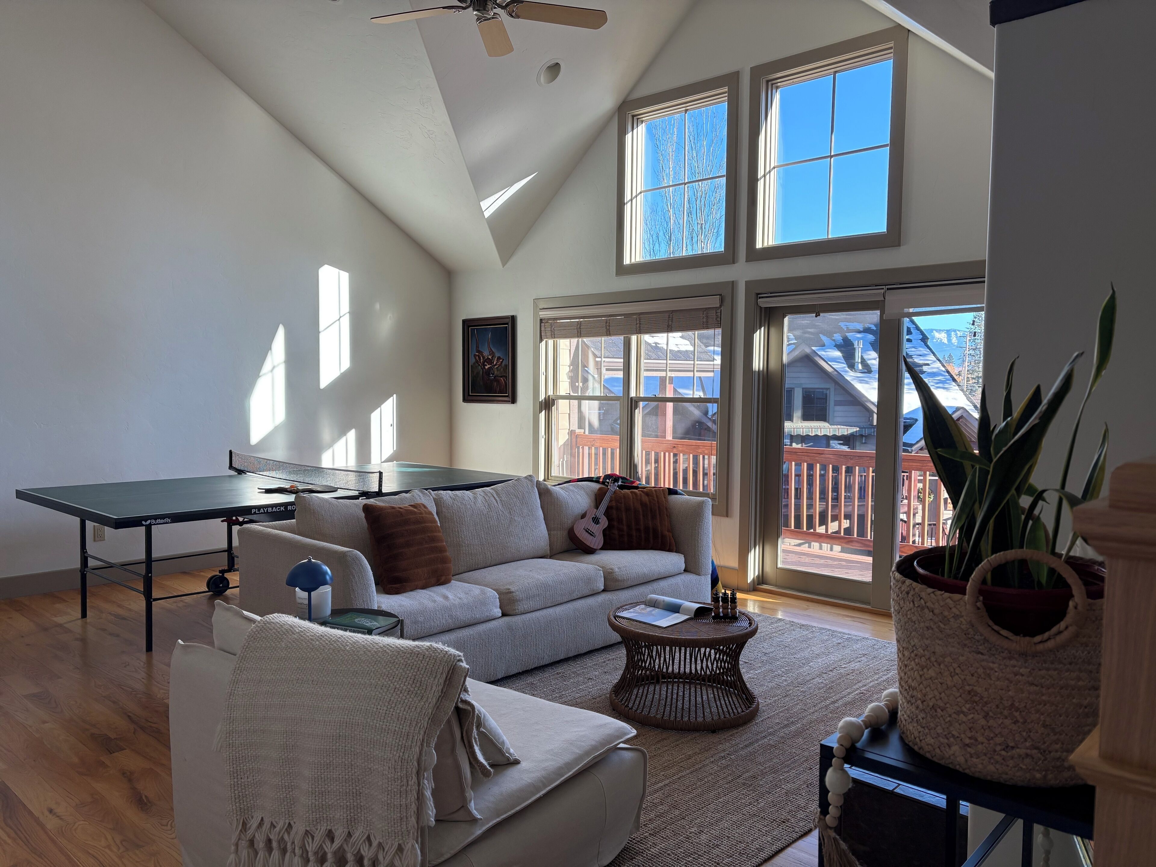 Smart TV, fireplace, books, computer monitors