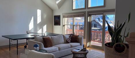 Smart TV, fireplace, books, computer monitors