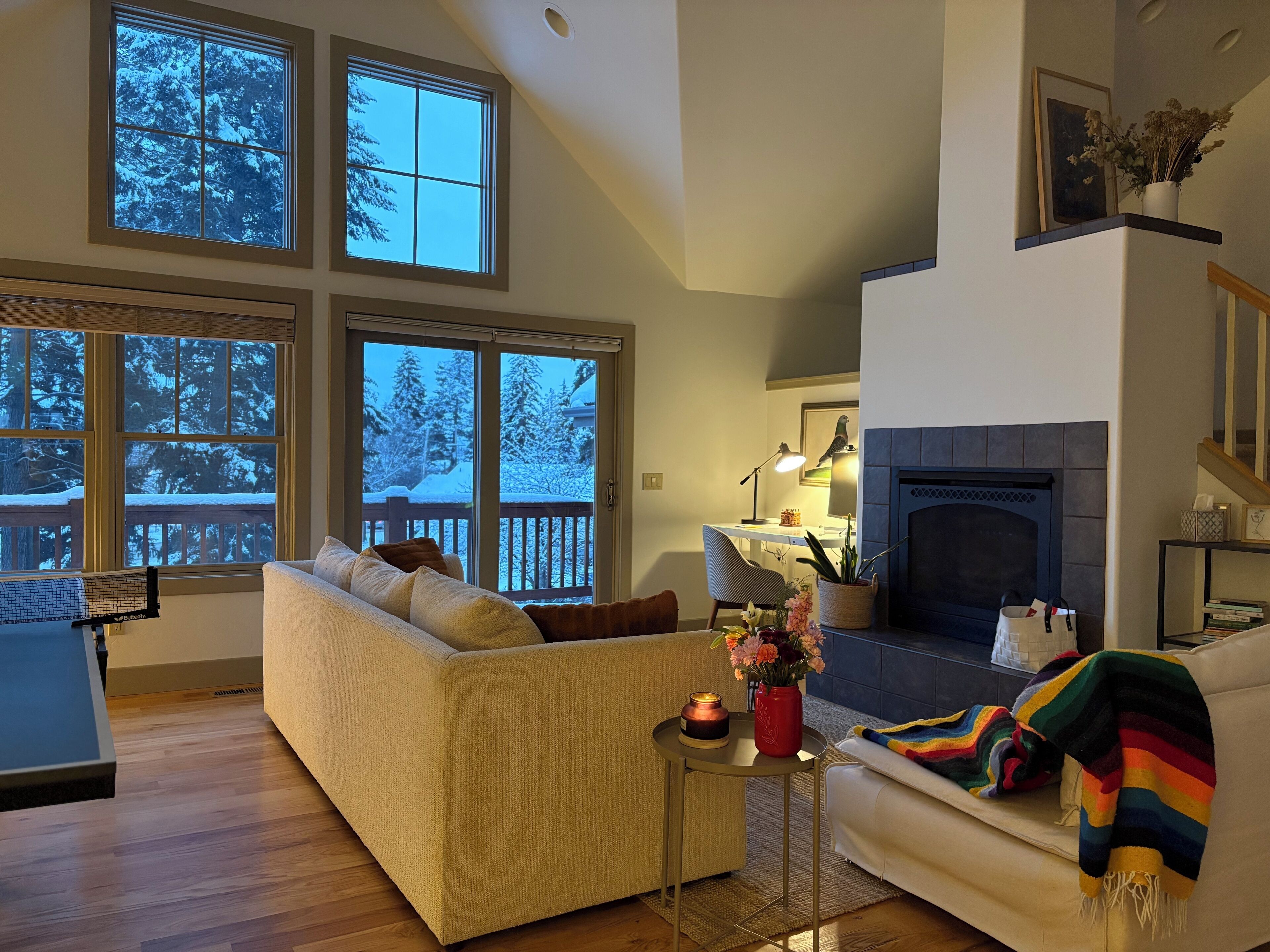 Smart TV, chimenea, libros y monitor de computadora 