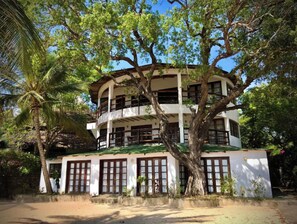 A two-story building with a white exterior and dark wooden accents, surrounded by lush greenery and a palm tree.