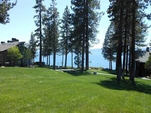 Property grounds - Lakefront Condo in Kings Beach- #25 (Kings Beach)
