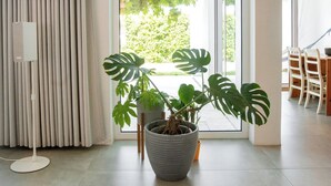 En moderne stue med et stort vindue, en potteplante, en hvid gulvlampe og et spiseområde med træstole.