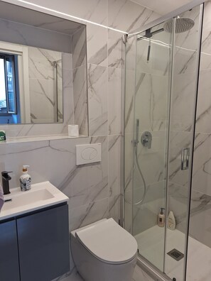 Shower, hair dryer, bidet, towels