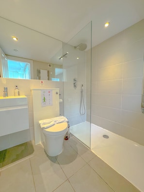 Bathroom features a glass-enclosed shower, toilet, sink, and mirror.