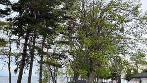 A lakeside outdoor seating area with Adirondack chairs, a fire pit, and a wooden deck. - Goffatt Island-your private island 1+1 Bedroom Cabin 201 (Goffatt Island)