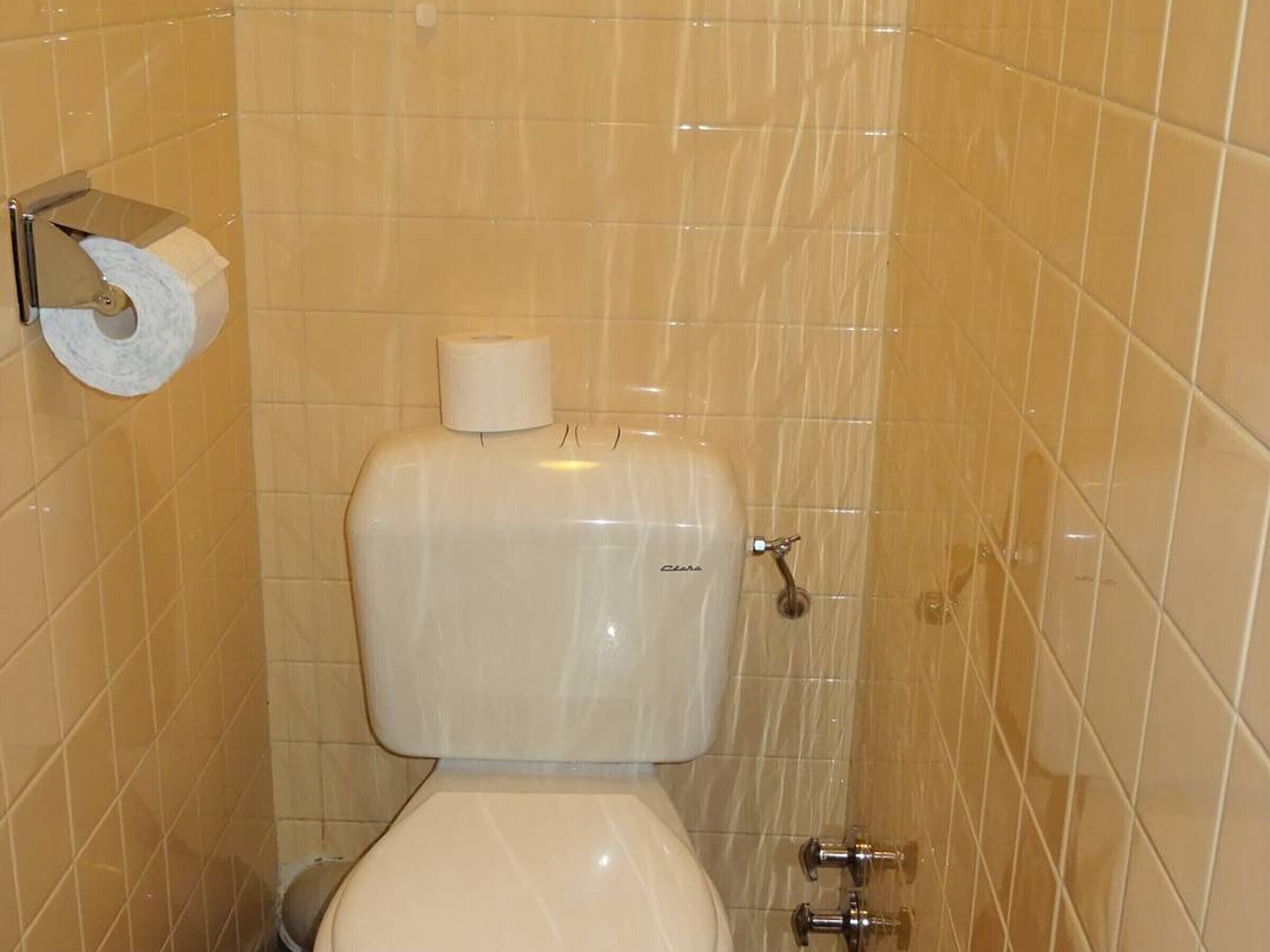 A bathroom with a toilet, a toilet paper holder, and a wall-mounted flush handle.