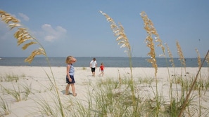 Une scène de plage avec des personnes se promenant sur le sable, des herbes au premier plan et l’océan en arrière-plan.