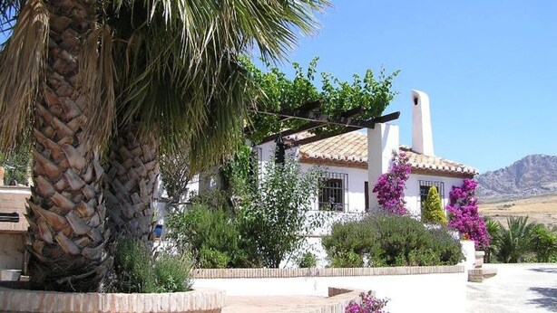 A white building with a tiled roof, surrounded by greenery and a palm tree.