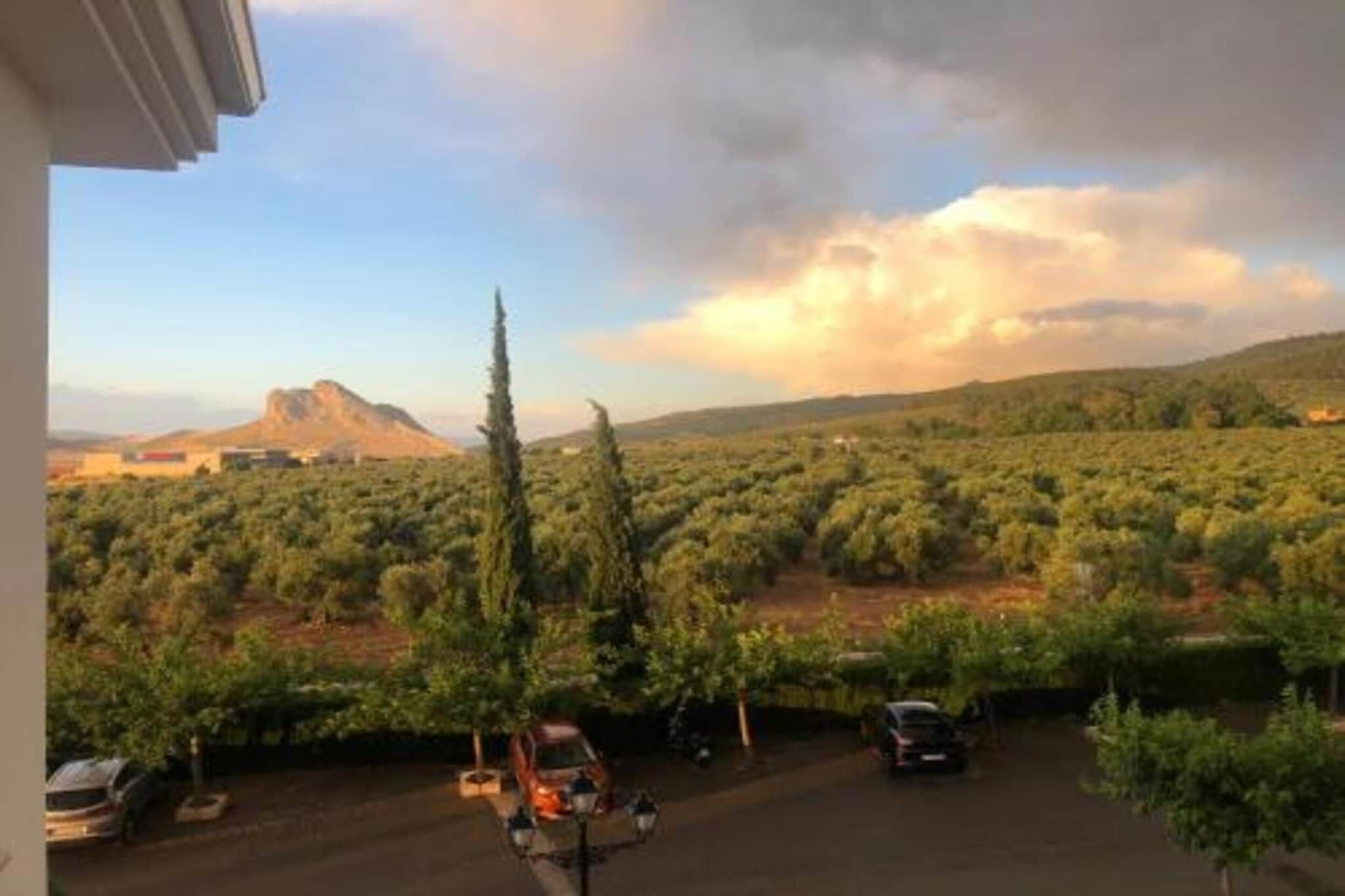 A vineyard with rows of grapevines, a mountain in the background, and parked cars in the foreground.