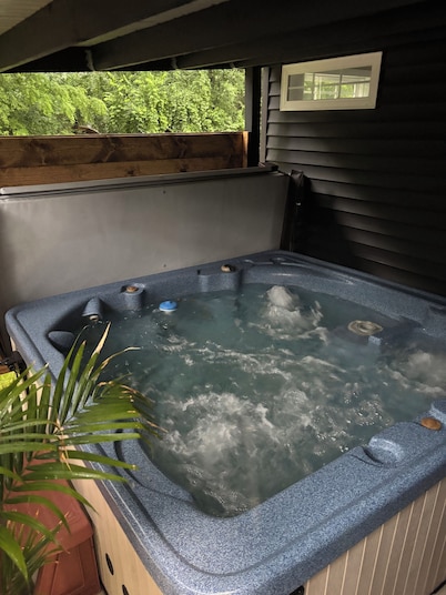 Cozy lake Cottage on Dewart Lake with hottub, 1 mile from Blue Barn Berry Farm