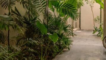 Terrein van de accommodatie