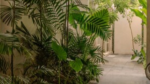A corridor with a concrete floor, surrounded by lush green plants and trees. - Charming single level apt w terrace and pool access (Mérida)
