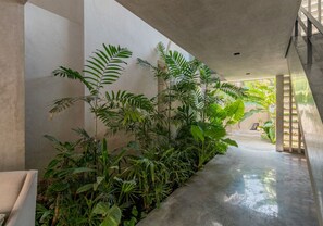 Interior - Charming single level apt w terrace and pool access (Mérida)