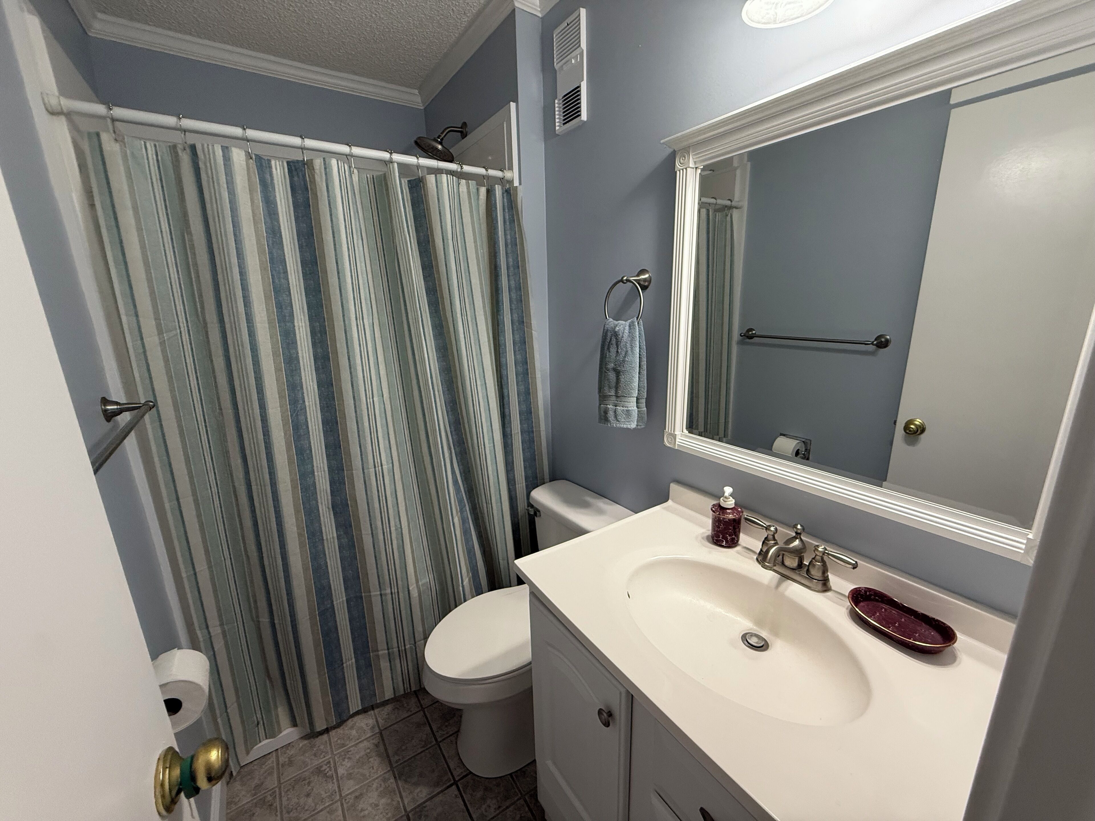 A bathroom with a shower curtain, toilet, sink, and mirror.
