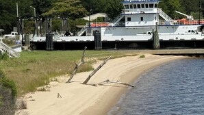 Een strand met een boot afgemeerd bij een steiger, een zandstrand en enkele planten.