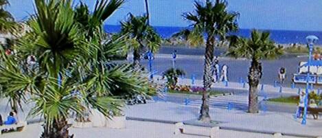 بالقرب من الشاطئ