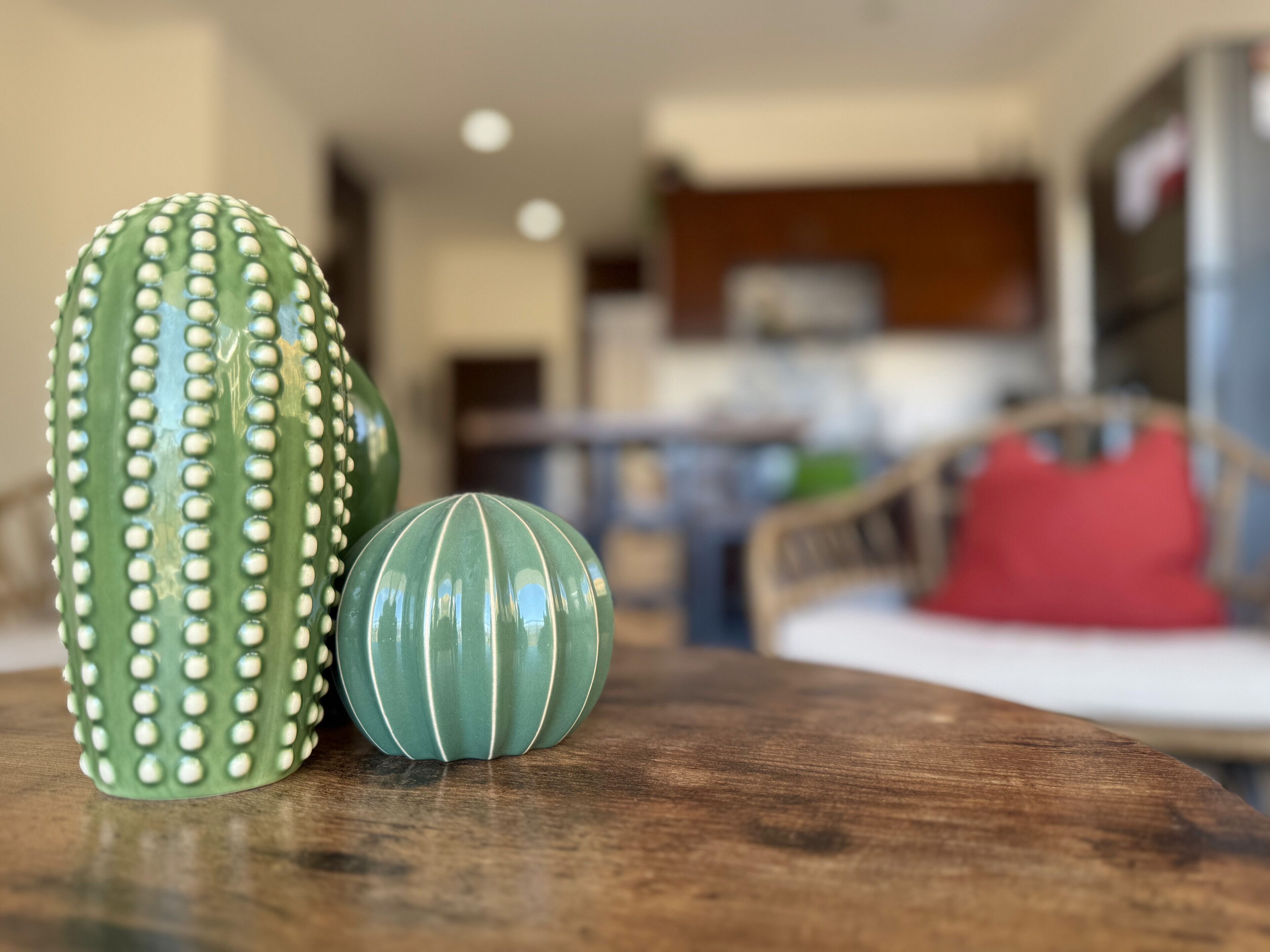 Un cactus y una maceta pequeña sobre una mesa de madera en una habitación con fondo desenfocado.