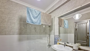 Douche, séchoir à cheveux, serviettes fournies
