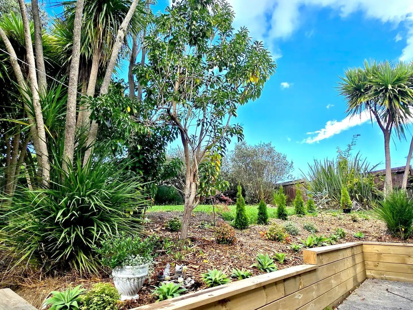 A garden with various plants and trees, a wooden bench, and a stone planter.