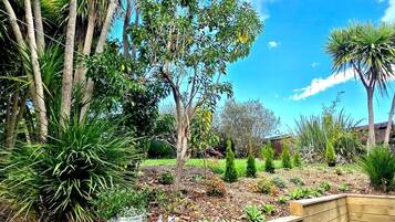 A garden with various plants and trees, a wooden bench, and a stone planter.