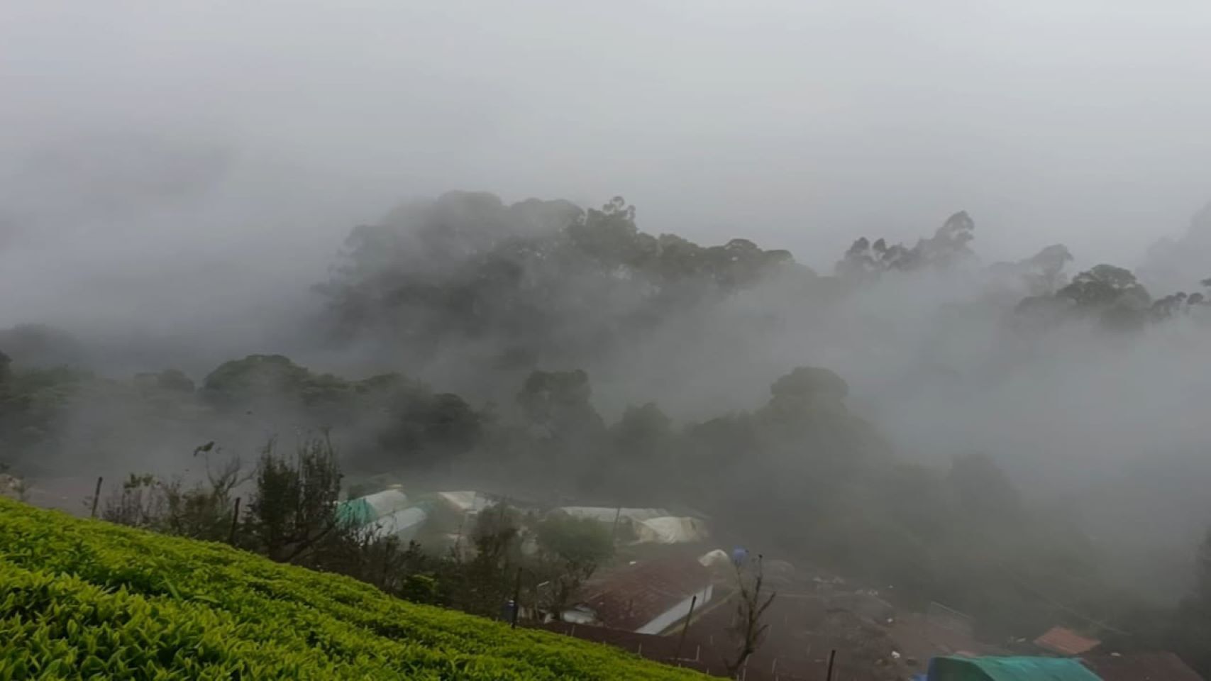 Un paysage brumeux, avec une végétation verdoyante et des bâtiments partiellement dissimulés par le brouillard.