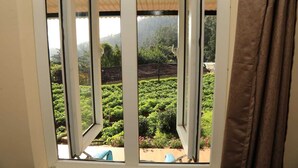 Ein Fenster mit Blick auf einen Garten mit verschiedenen Pflanzen und einem Gebäude im Hintergrund.