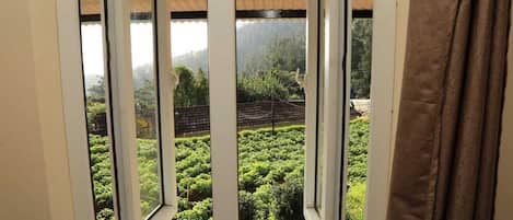 A window with a view of a garden with various plants and a building in the background.