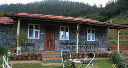 Wild and Free Farm Stay