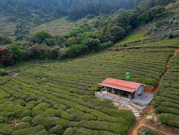 Egyptian cotton sheets, premium bedding, bed sheets - Wild and Free Farm Stay (Ooty)