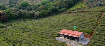 Wild and Free Farm Stay