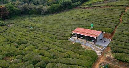 Wild and Free Farm Stay